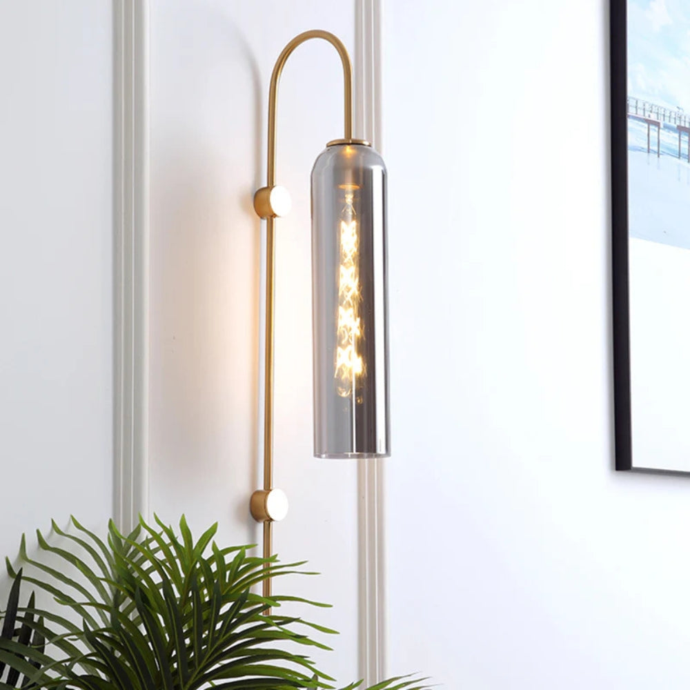 Wall Light Metal Gooseneck with Glass Shade Modern | Ervale
