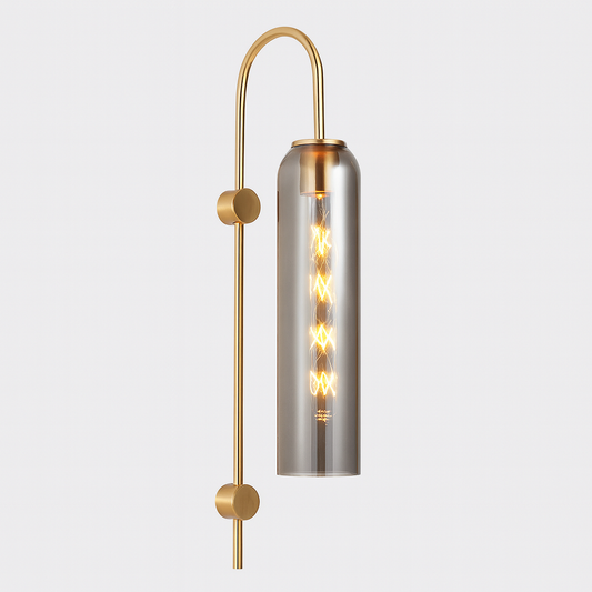 Wall Light Metal Gooseneck with Glass Shade Modern | Ervale