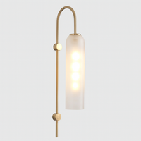 Wall Light Metal Gooseneck with Glass Shade Modern | Ervale