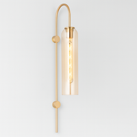 Wall Light Metal Gooseneck with Glass Shade Modern | Ervale