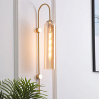 Wall Light Metal Gooseneck with Glass Shade Modern | Ervale